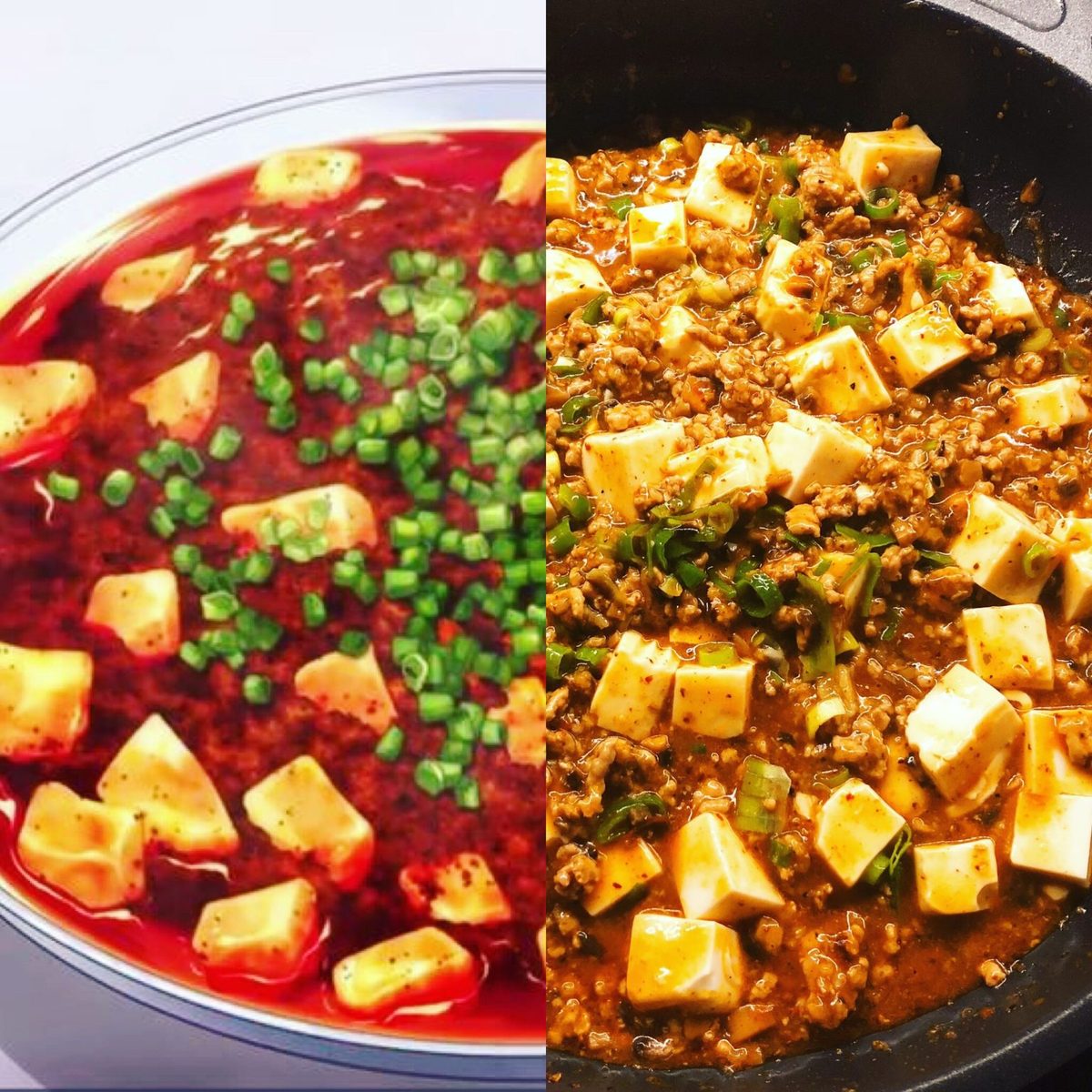 Mapo tofu from Food Wars next to my own version in a pan